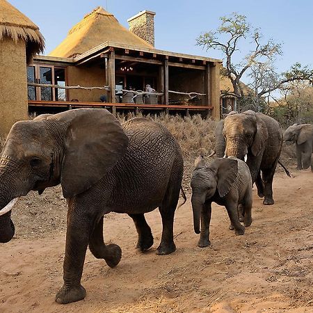 Jabulani Safari Villa Kapama Game Reserve Exterior photo