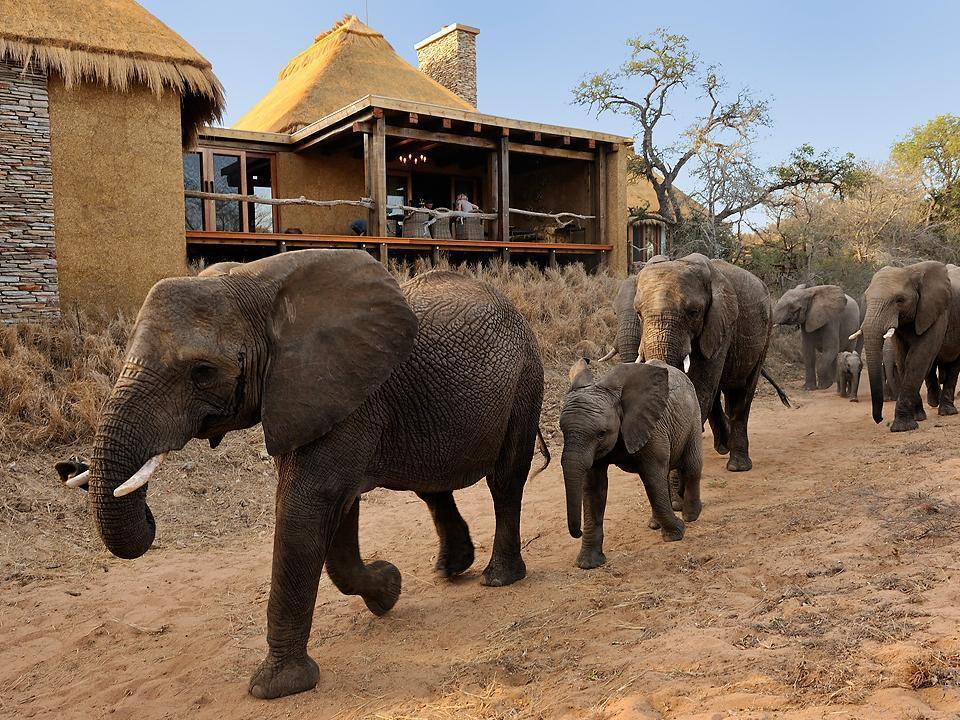 Jabulani Safari Villa Kapama Game Reserve Exterior photo