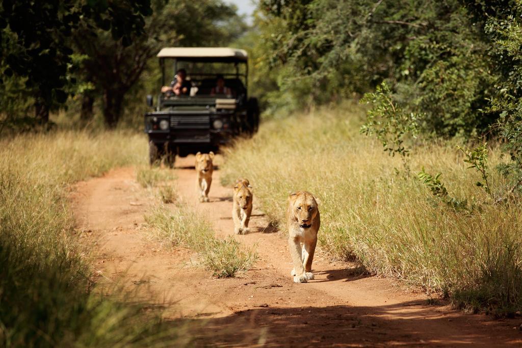 Jabulani Safari Villa Kapama Game Reserve Exterior photo